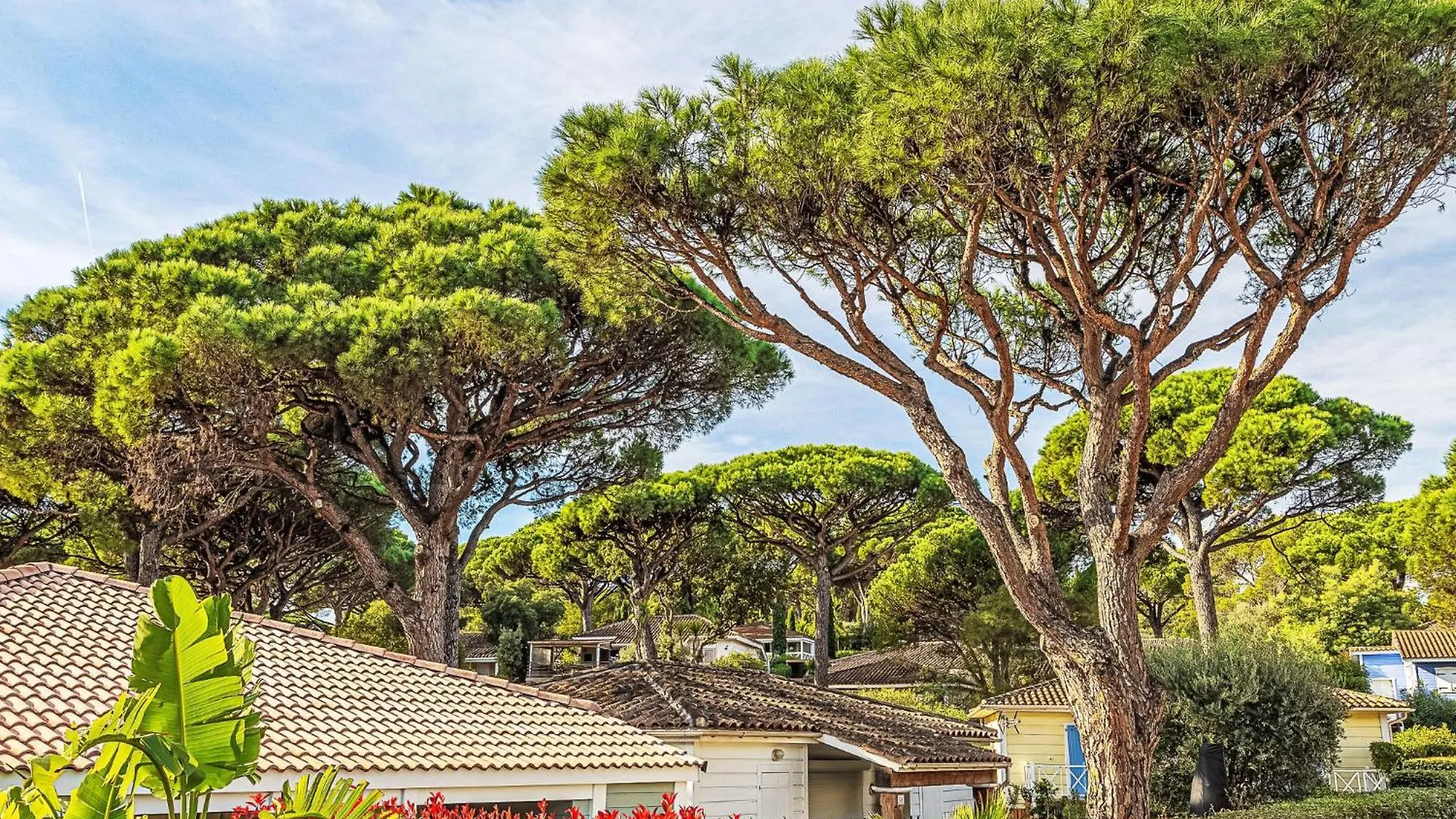 Holiday Home Parc Oasis By Interhome Gassin Frankreich